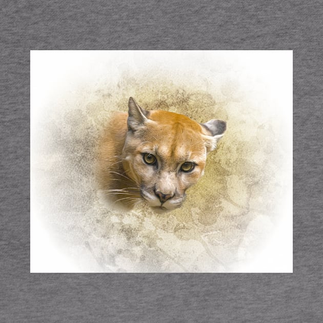 Mountain lion by Guardi